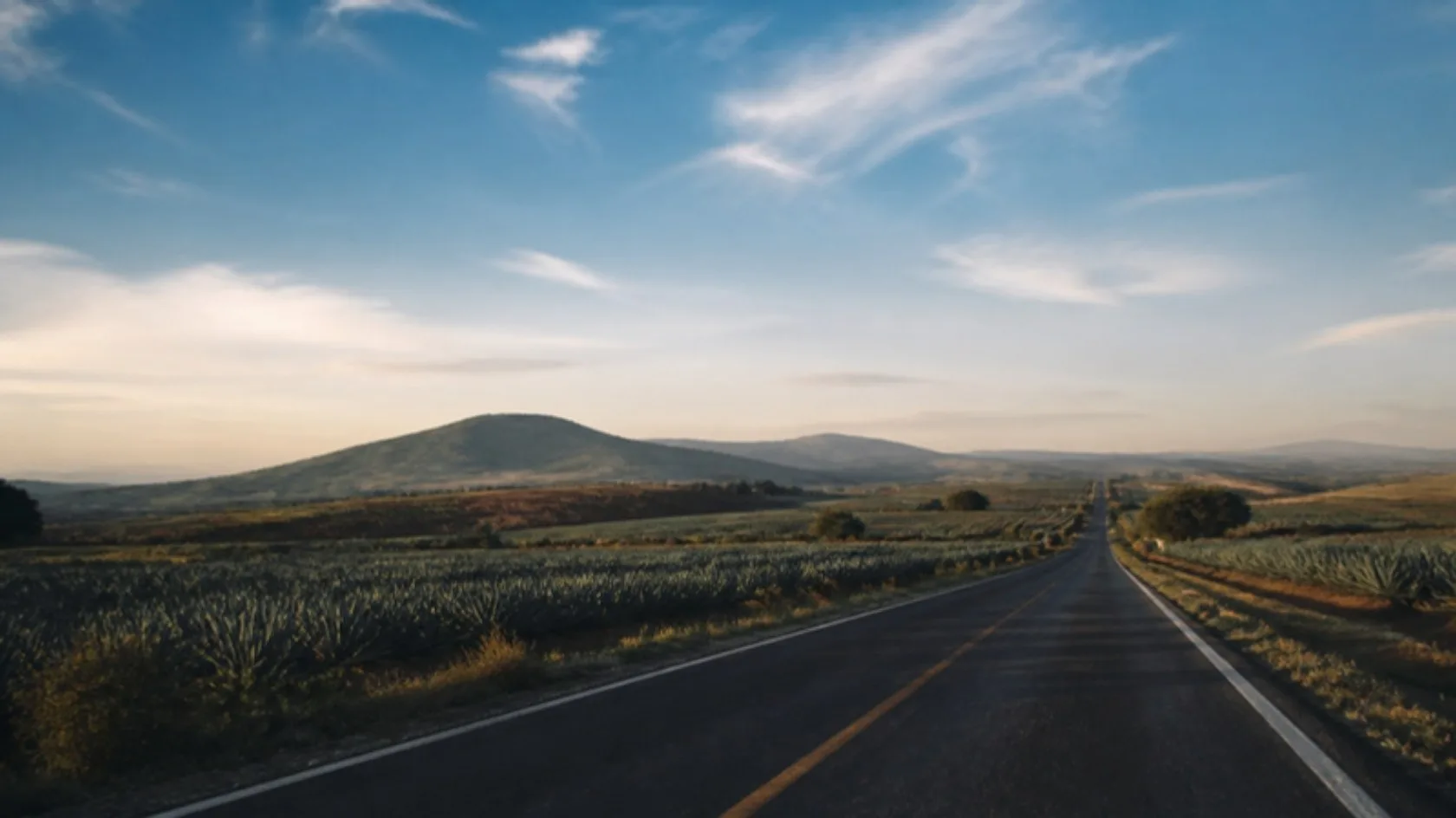 Carretera al amanecer entre campos de agave en Los Altos